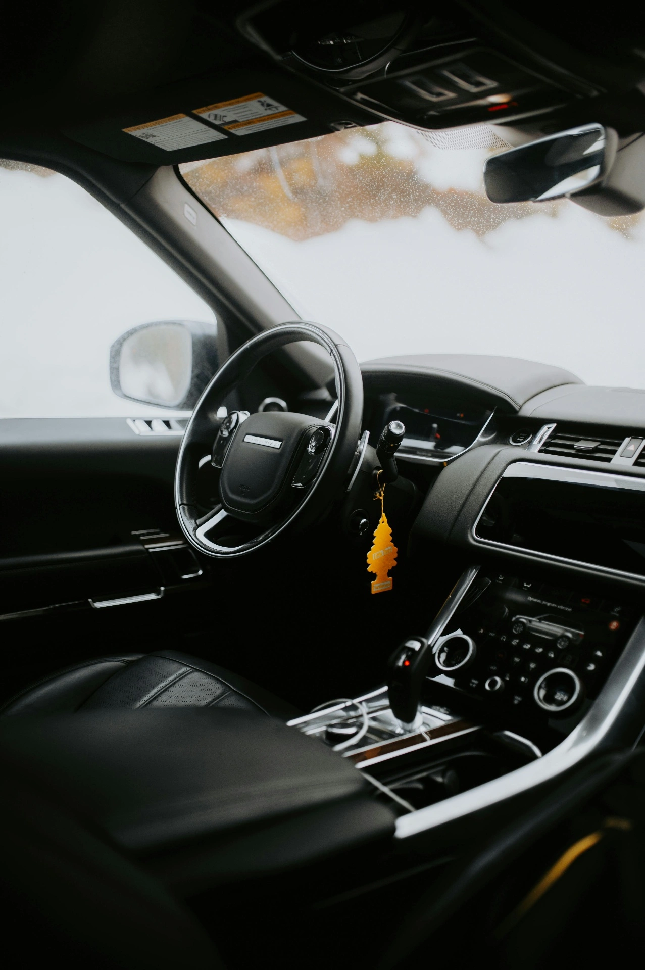 Interior Detailing car detailing service in Punta Gorda Florida - Deep steam cleaning for pristine interior